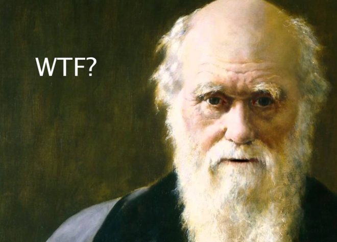 Why the Darwin Awards Should Die