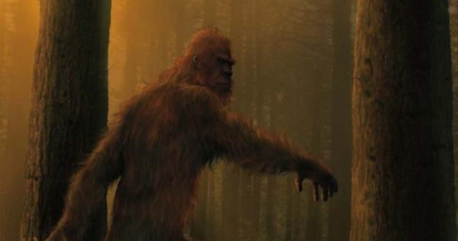 Neutrality and the wood ape report