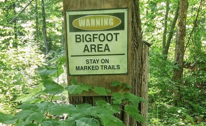 Science and cryptozoology: The taboo subject of Bigfoot doesn't add up